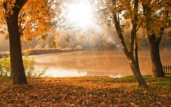 Orman ile göl ve sonbahar manzara — Stok fotoğraf