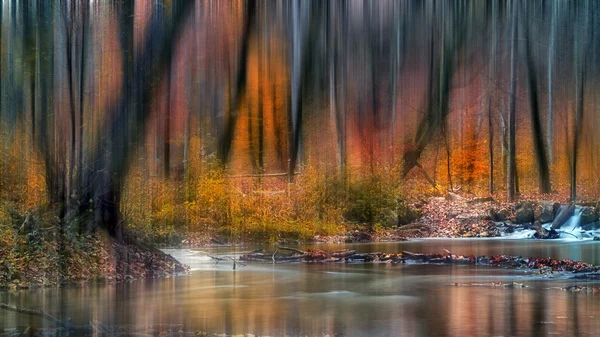 Krásná řeka v lese — Stock fotografie