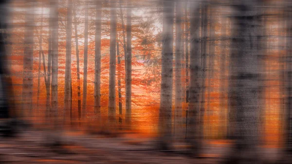 Motion blurred autumn forest impression — Stock Photo, Image