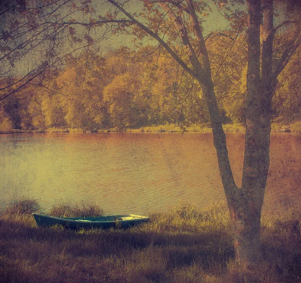 森と湖とボートします。 — ストック写真