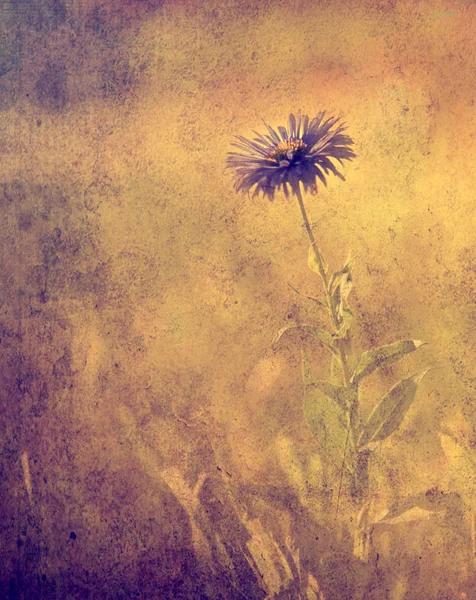 复古花卉。用黑暗 grunge 旧纸图案美丽的野生花卉的照片. — 图库照片