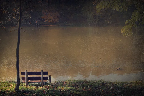 ビンテージの風景です。古い紙のテクスチャ上の湖と風景のアンティーク スタイルの写真. — ストック写真