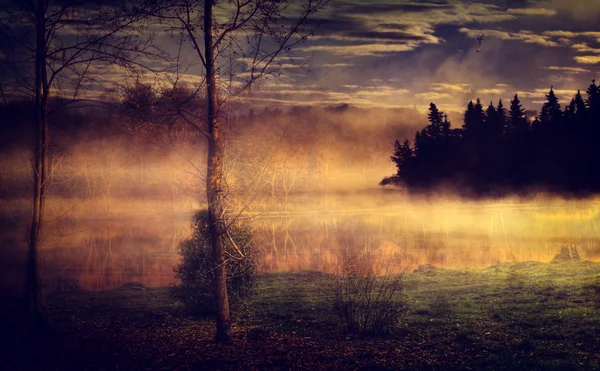 Paisaje con lago y bosque otoñal . —  Fotos de Stock