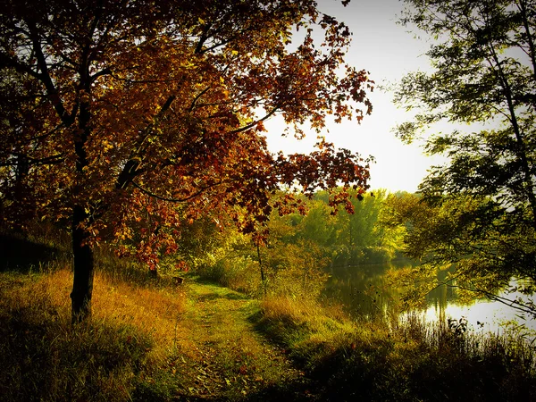 Landschap met herfst bos en meer — Stockfoto