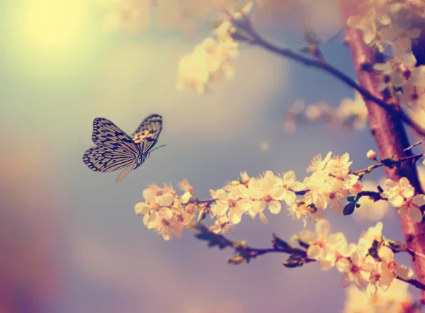 Vintage butterfly with flowers Rechtenvrije Stockfoto's