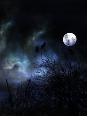 Spooky night with black birds.
