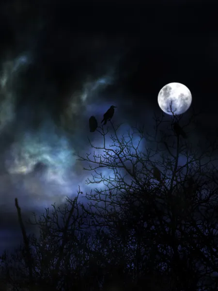 Spooky night met zwarte vogels. — Stockfoto