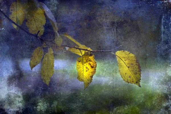 Gelbe Blätter. antiken Stil Foto von Herbstblättern mit Grunge alten Papier Textur — Stockfoto