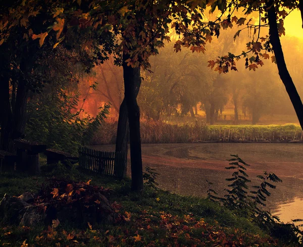 Orman ile göl ve sonbahar manzara. — Stok fotoğraf