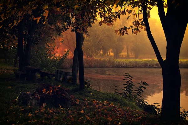 Orman ile göl ve sonbahar manzara. — Stok fotoğraf