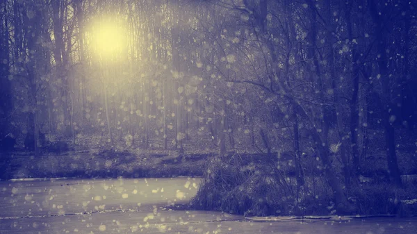 Monochrome Fotografie von Zweigen im Winter — Stockfoto