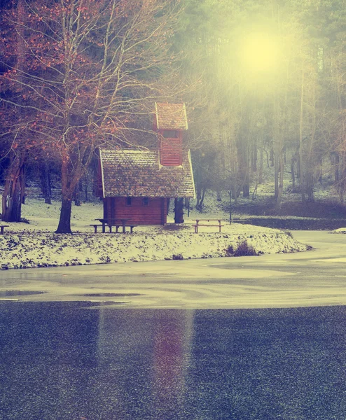 Foresta invernale con lago — Foto Stock