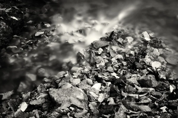 Černé a bílé řeky část a kameny — Stock fotografie