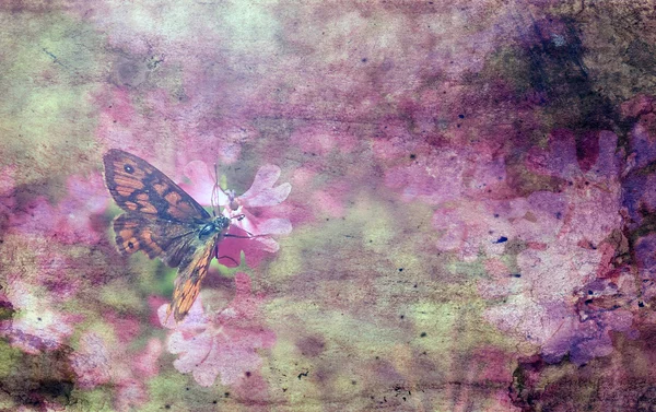 Винтажная бабочка на цветке — стоковое фото