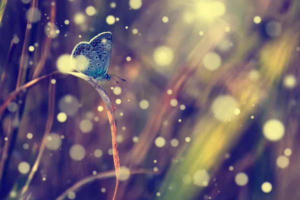 Foto de estilo antiguo de mariposa en flor con textura de papel viejo grunge — Foto de Stock