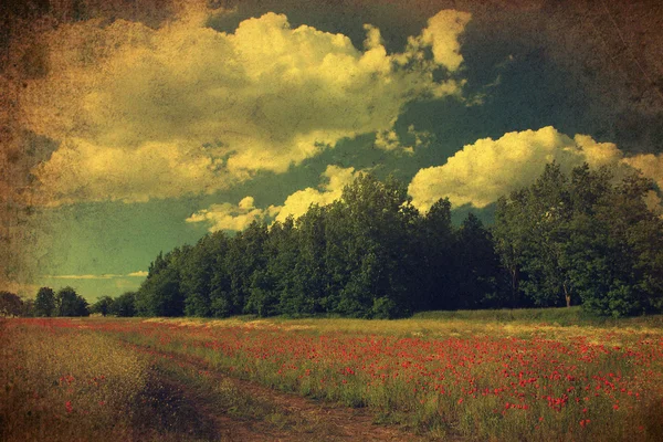 Vintage wild flower field with lots of red poppies and blue sky. — Stock Photo, Image