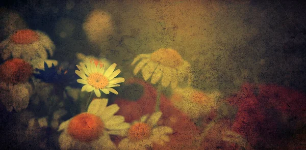 Старовинні квіти . — стокове фото