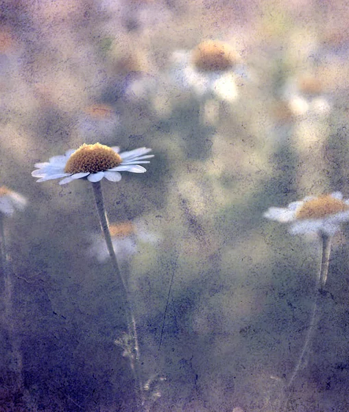 Vintage blommor. — Stockfoto