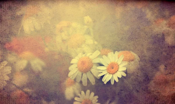 Vintage Kwiaty. — Zdjęcie stockowe