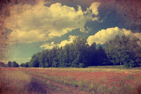 Vintage kır çiçeği alan mavi gökyüzü ve bulutlar. — Stok fotoğraf