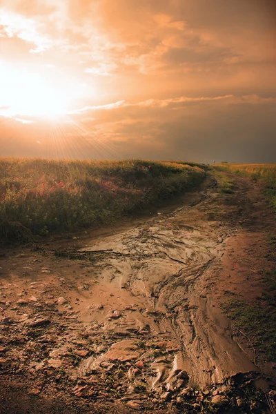 Dirty road path in sunset — Stock Photo, Image