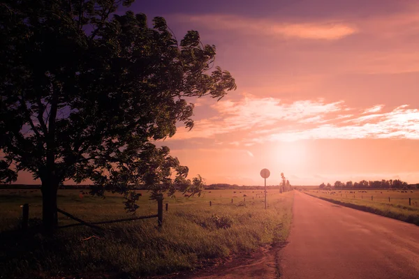 Strada asfaltata al tramonto con raggio di sole — Foto Stock