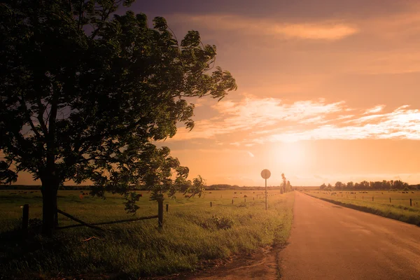 Bulutlar ve günbatımı güneş ışını ile asfalt yol — Stok fotoğraf