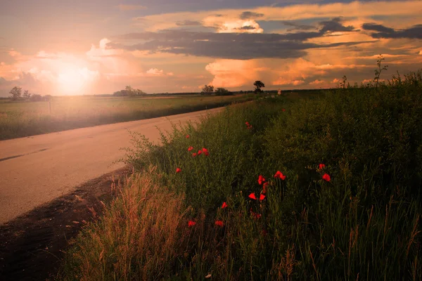 Paisagem rural ao pôr do sol com papoilas — Fotografia de Stock