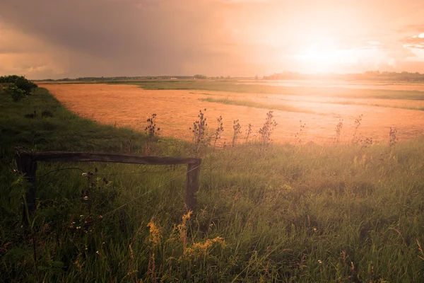 Venkovská krajina při západu slunce — Stock fotografie