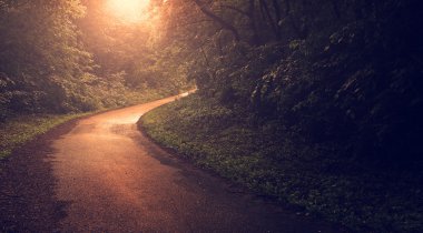 gün batımı, Vintage orman yolu