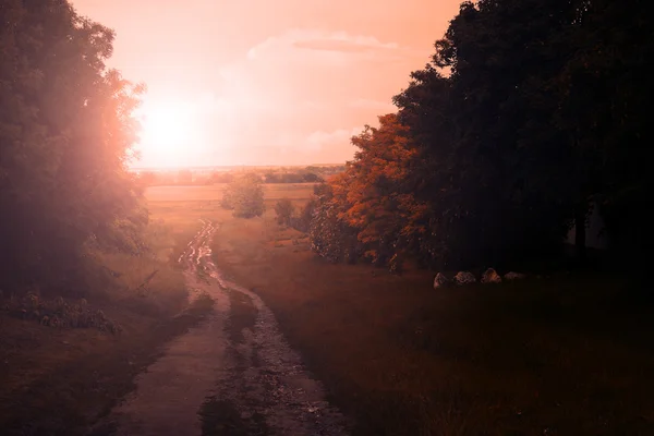 Dirty road path in sunset — Stock Photo, Image