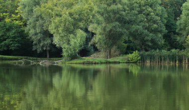 Lake forest ile