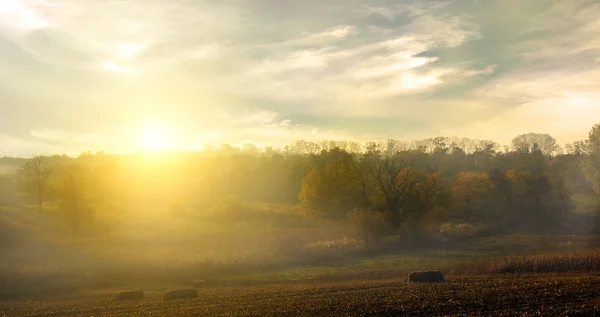 Foggy meadow. — Stock Photo, Image