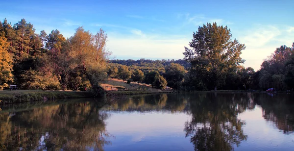 Lake with forest — Stock Photo, Image