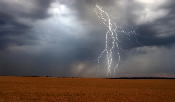 Lightning over corn field — Stock Photo, Image