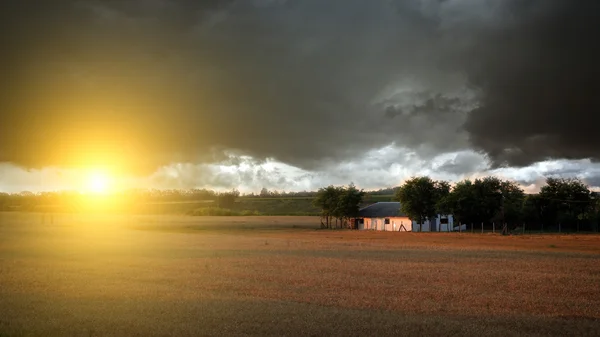 Campos de milho — Fotografia de Stock