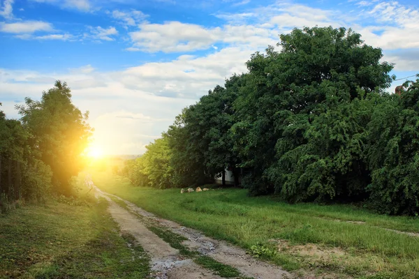 Paisaje rural — Foto de Stock