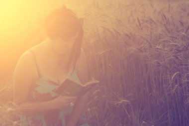 güzel bir kadın buğday alanında kitap okuma