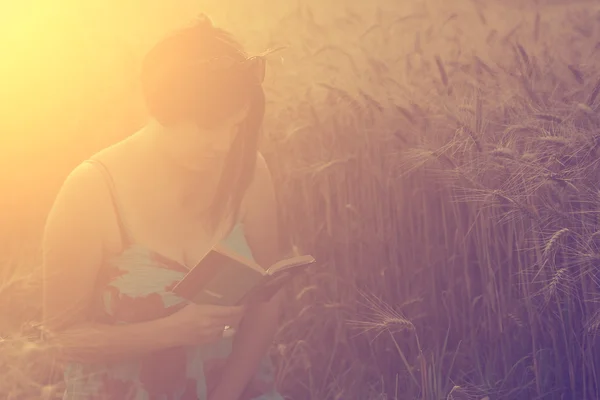 Mulher bonita lendo um livro em um campo de trigo — Fotografia de Stock