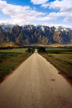 dağ geçmişi olan çayır