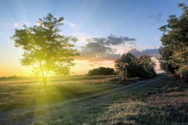 yaz gün batımı sahne