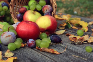 karışık sebze yakın çekim