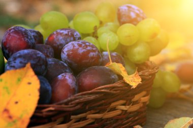 karışık sebze yakın çekim