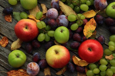 karışık sebze yakın çekim