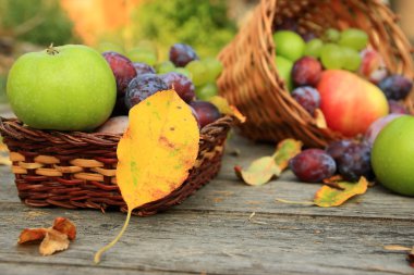 karışık sebze yakın çekim