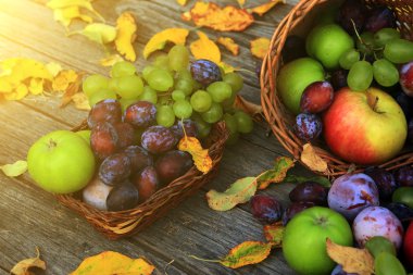 karışık sebze yakın çekim