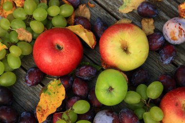 karışık sebze yakın çekim