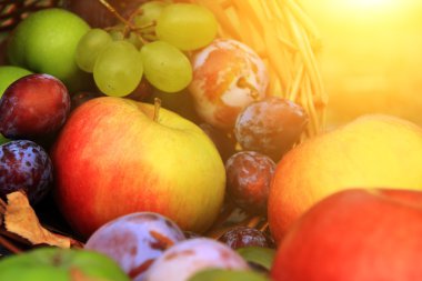 karışık sebze yakın çekim