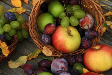 karışık sebze yakın çekim