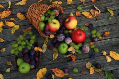 karışık sebze yakın çekim